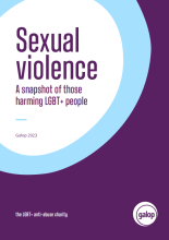 Sexual Violence LGBT
